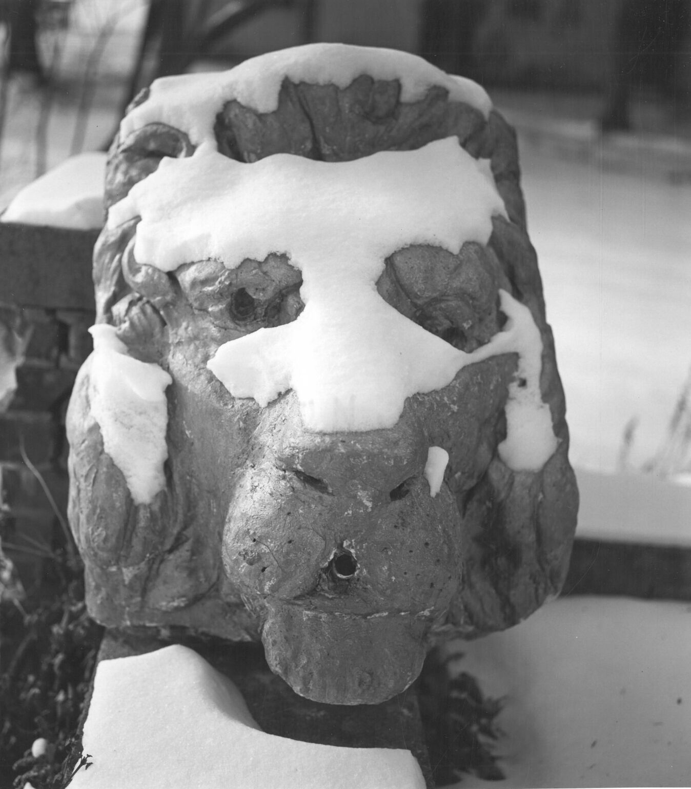 Lion fountain
